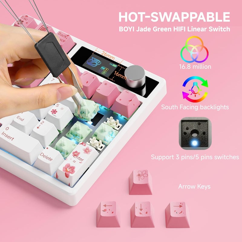 Boyi TD31Pro Gaming Keypad,BT5.0/2.4G/Type-C Wireless Numeric Keypad,RGB HotSwap Numpad Mechanical Number Pad,Gasket Number keypad Shortcut Keyboard(Romatic Cherry Blossom Keycaps) - Image 4